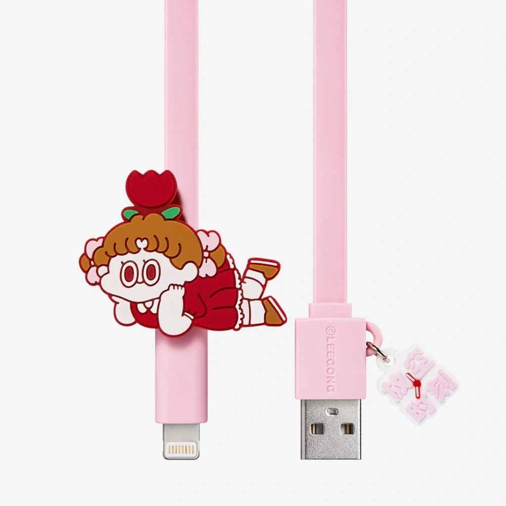 Iphone cable POP MART blind box.
